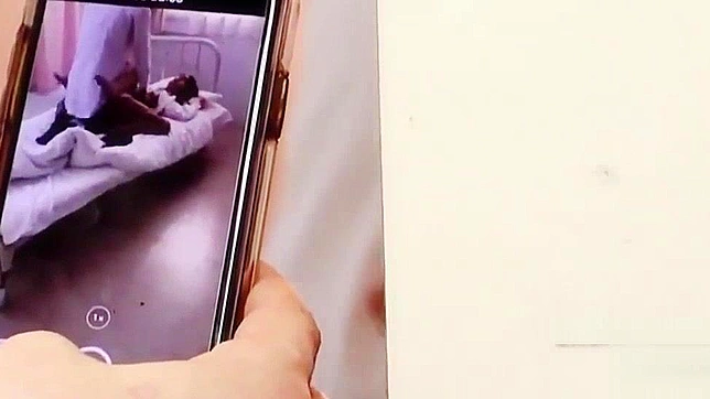 梦杏由菜的多人激情狂欢日式成人片