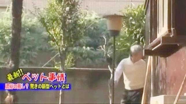 日本AV女星小泽美香最火的场景合集视频