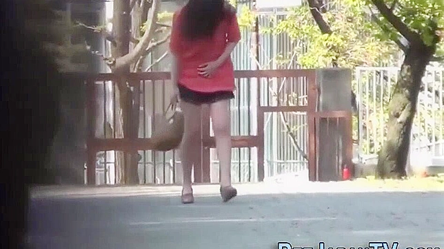 日本偷尿妖妇被抓现行 —东方婊子的羞耻瞬间