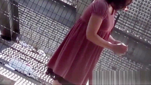 日本女孩户外偷窥排尿视频