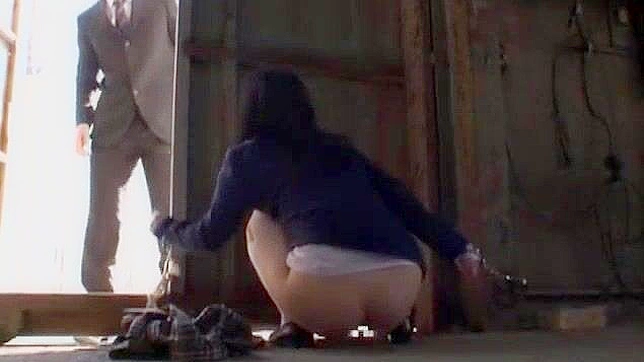 迷人的日本女孩日向あやみ在户外以狗交姿势出演JAV视频