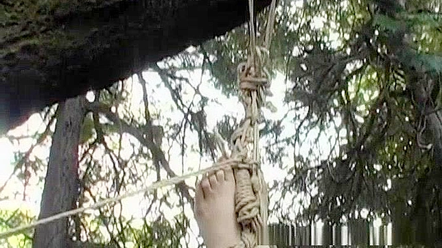 日式束缚色情片：亚洲美女倒吊捆绑并口交