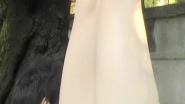 日式束缚色情片：亚洲美女倒吊捆绑并口交