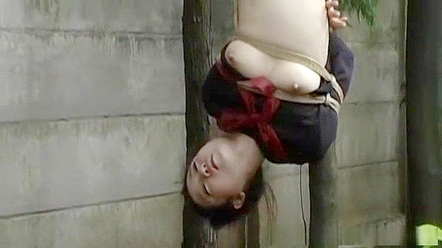 日式束缚色情片：亚洲美女倒吊捆绑并口交