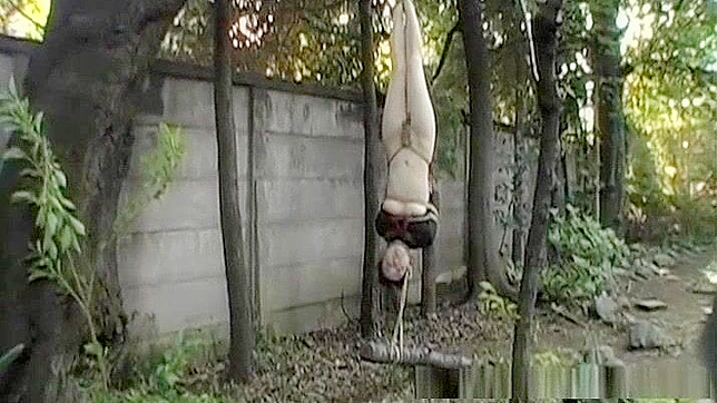 日式束缚色情片：亚洲美女倒吊捆绑并口交