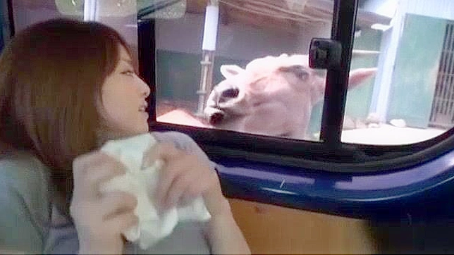 日式熟女吉沢明歩在车里疯狂湿战