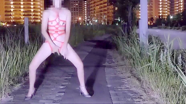 JAV泄露~日本素人会话高级视频