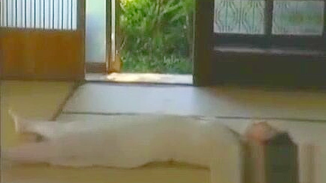 日本海滩美女爱硬汉巨阳 - 日本成人视频精选