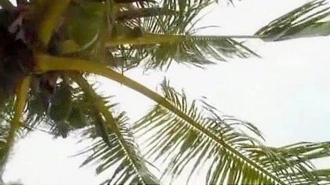 在热辣海滩JAV片段中体验日本美女香澄佳代的性感快感。