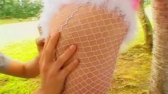 日式AV视频：最美的日本女孩萩原舞、小泽夏希和星月光，在户外狗交中的惊人表现。