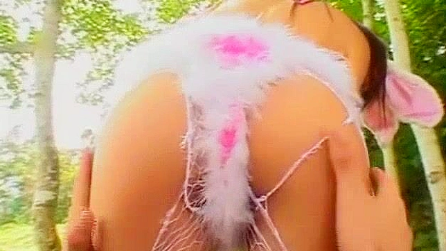 日式AV视频：最美的日本女孩萩原舞、小泽夏希和星月光，在户外狗交中的惊人表现。