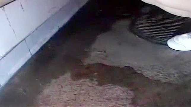 日本模特Satomi Suzuki最热门偷窥大奶JAV片段—超赞色情视频