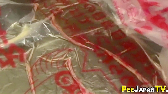 毛茸茸的日本靓妞小便 - 日本成人视频片段