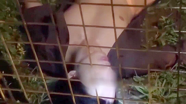 AV终极收藏：亚洲美人捕获冒险家的绝技