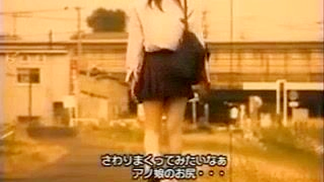 日本无码激情场景中的JAV女星们