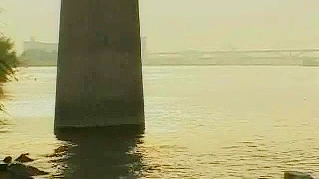 日本AV女星Sara Minami户外最火辣射精场景