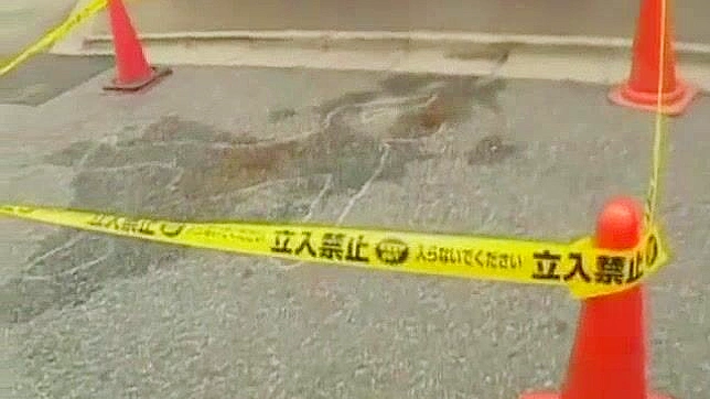 日本AV女星Sara Minami户外最火辣射精场景