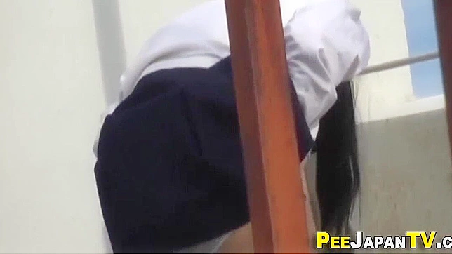 日本尿游乐园：辣妹亚洲人狂野性爱冒险记