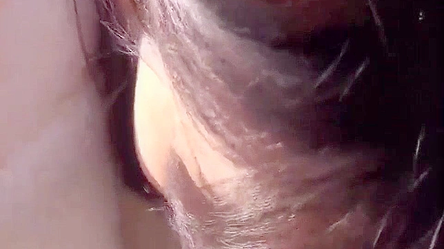 观看高清AV电影~梦中天使般日本美女激情做爱秀