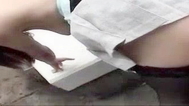 日式AV - 冬夏美树与森口爱香的异域口交/舔屌POV影片