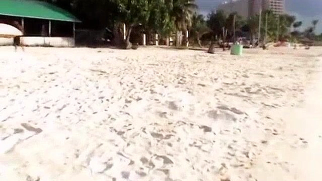 日本婊子新保恵原出演的户外JAV电影精华版