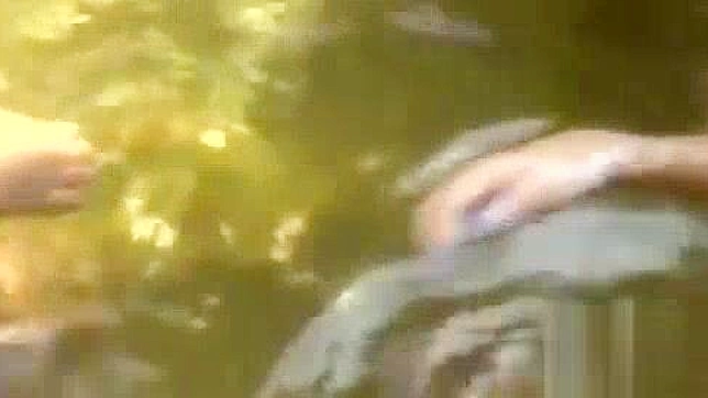 日本海滩上的乐趣，和JAV女优Suzy Sun一起嗨翻天。