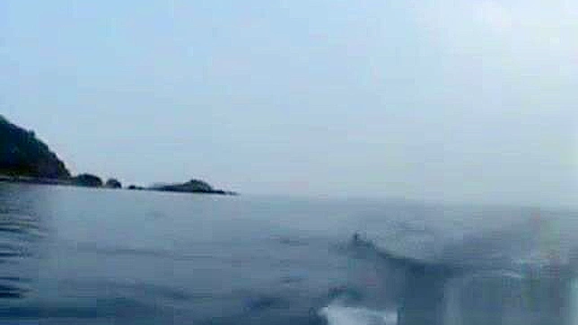 日式情色：奈由佳峰的性感出道与大尺寸激情体验
