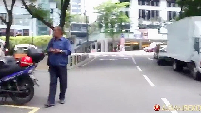 观看高清日本异国情色视频 - 完整版无删减