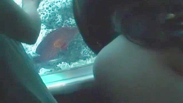 日本AV片段：异国风情模特狂热缠绵