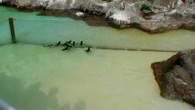 日本AV片段：异国风情模特狂热缠绵