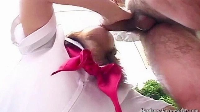 日本少女口交 - 毛茸茸的甜蜜性爱享受