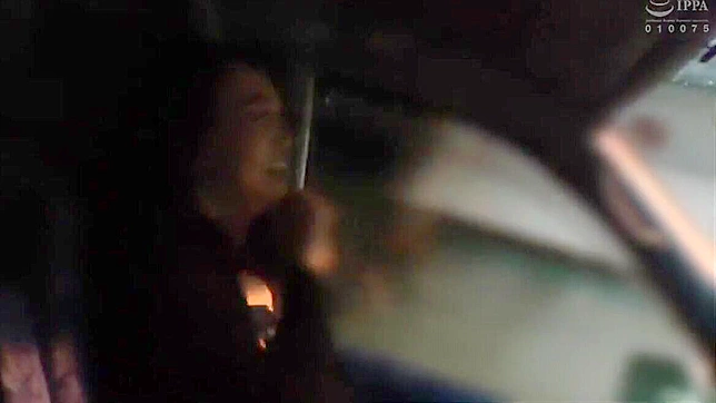 永恒春色~欲火 Milf 的火热度假之旅