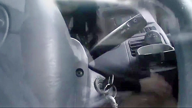 永恒春色~欲火 Milf 的火热度假之旅