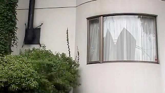 性感熟女妖精在亚洲色情片中与戴绿帽男狂野做爱