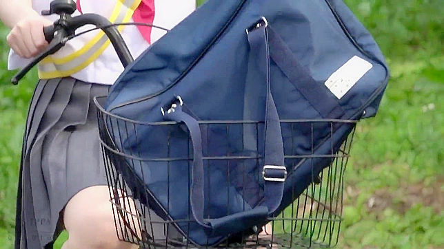 羞辱的奴隶被猛烈撞击 - 穿着内衣的日式美女顺从地吸吮并遭背后侵犯