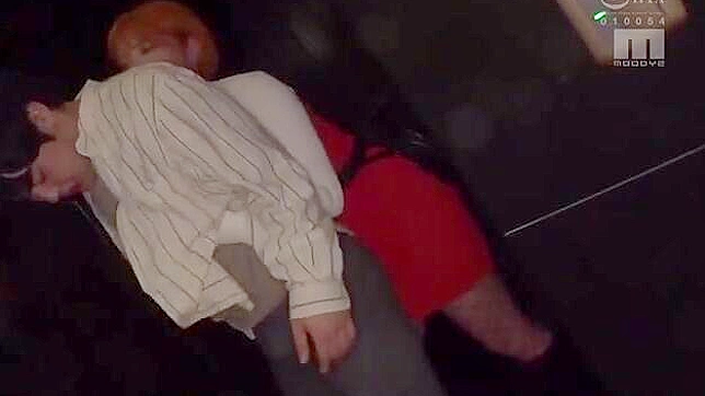 羞辱的巨乳日奴假意乖巧暗地里与人偷情大尺度乱搞