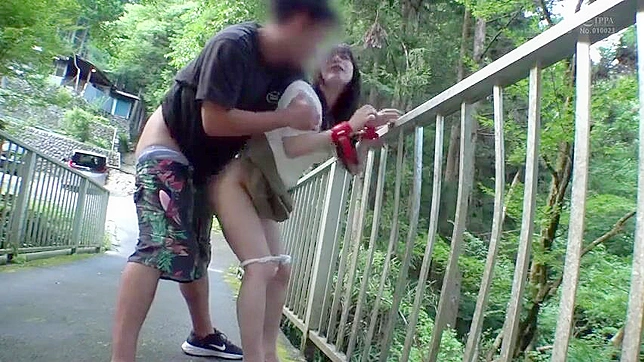 顺从体验：日本脱衣舞俱乐部的艺术