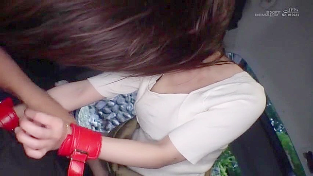 羞辱、奴役与束缚——一段禁忌的爱情故事