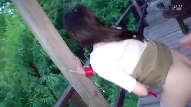 羞辱、奴役与束缚——一段禁忌的爱情故事