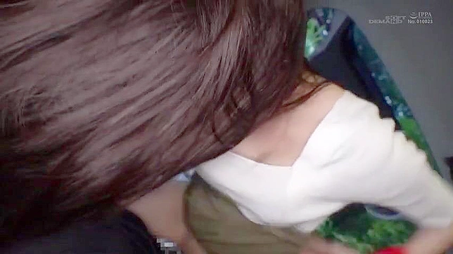 羞辱、奴役与束缚——一段禁忌的爱情故事