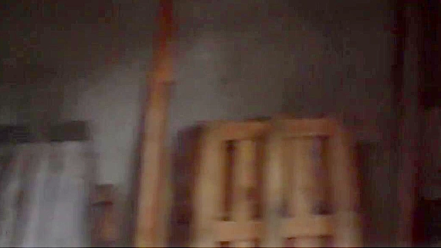 羞辱与性感：日本妻子的视角体验
