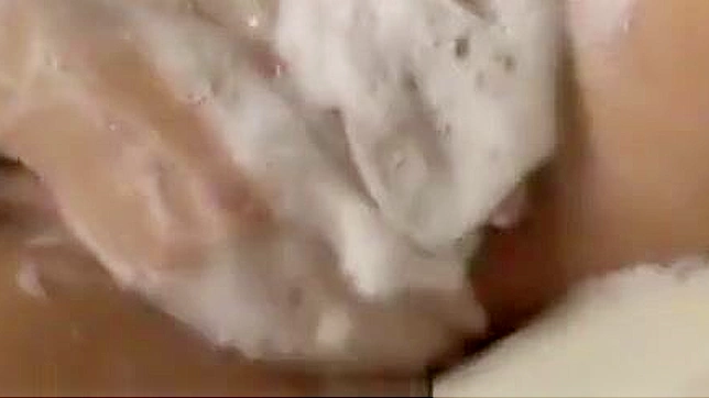 释放您的欲望，探索我们的异域JAV合集！