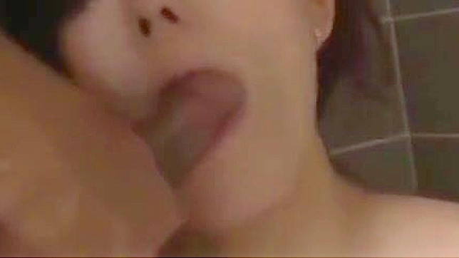 释放您的欲望，探索我们的异域JAV合集！