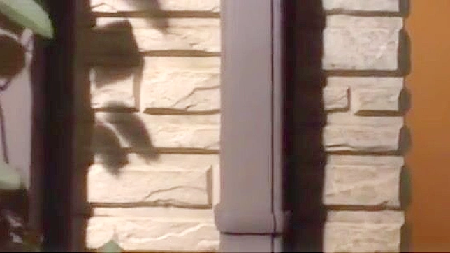 邂逅丰润美嘴女郎~她的秘密武器是完美的口交！