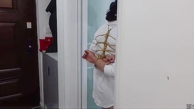 东西交融：探索日本束缚艺术的魅力！