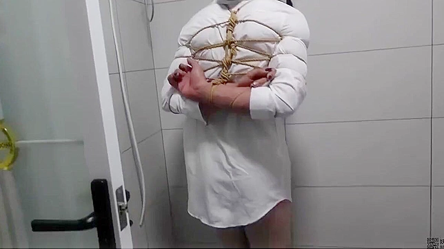 东西交融：探索日本束缚艺术的魅力！