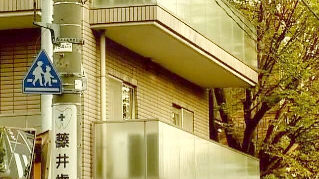 介绍充满诱惑的藤木凉在她最放荡的日式成人片表演！