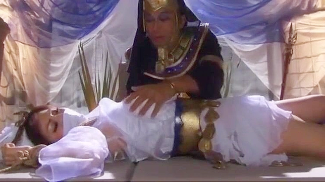 日系女神探秘：日本女优的迷人世界