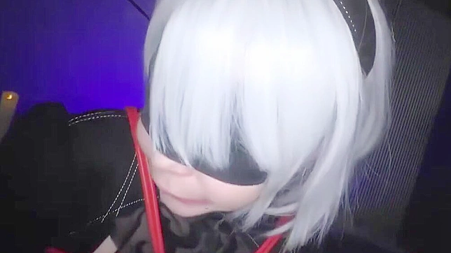 与2B角色扮演的幻想之旅