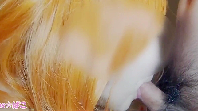 揭秘日本性感秘辛：异域JAV高清视频